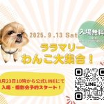愛犬家必見！わんこ大集合！